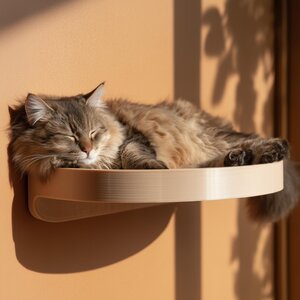 3D Printed Curved Cat Wall Bed | Floating Pet Perch