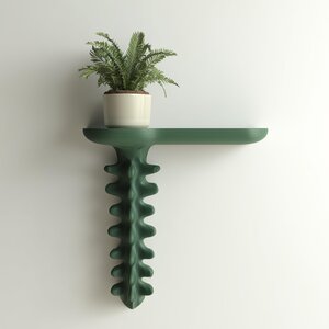 3D Printed Organic Growth Wall Shelf