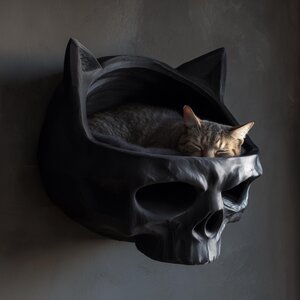 3D Printed Skull Wall Cat Bed